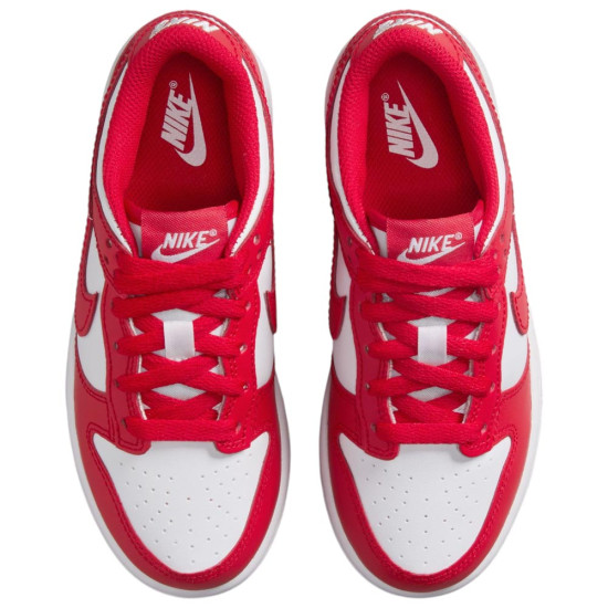 Nike Dunk Low (PSE)